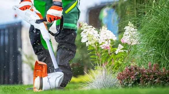 Lawn Care & Maintenance